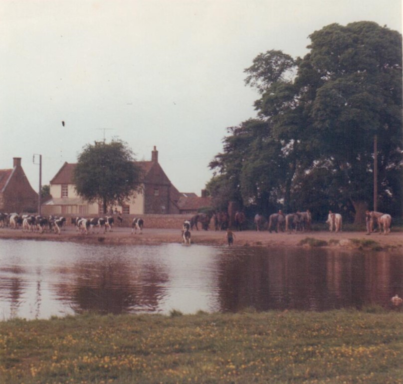 Boughton Pond 1969