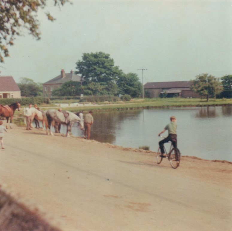 Boughton Pond 1969